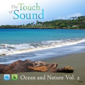 Download track Ocean And Birds - Vik, Iceland (Ocean) The Touch Of Sound