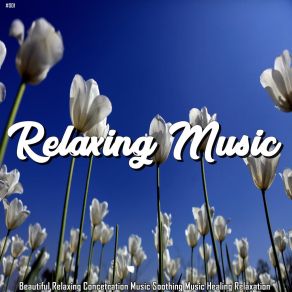 Download track Celestial Feelings MusicoterapiaTeam