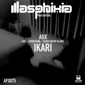 Download track Aux (Original Mix) Ikari