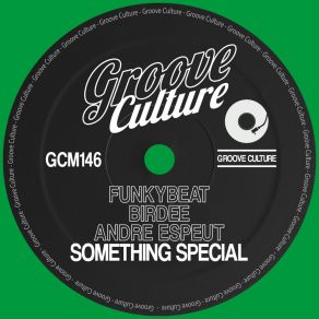 Download track Something Special (Extended Mix) Funkybeat