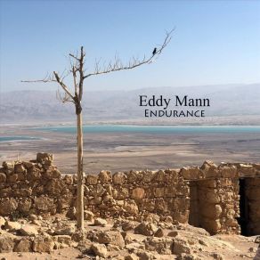 Download track Rise O Lord Eddy Mann