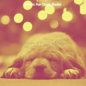 Download track Lively Ambiance For Training Dogs Music For Dogs Radio