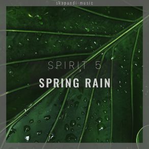 Download track Rain & Birds Spirit 5