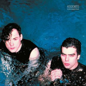 Download track The Associate The Associates