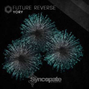 Download track Future Reverse (Original Mix) Yory