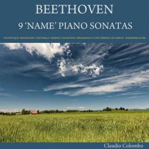 Download track Piano Sonata No. 14 In C-Sharp Minor, Op. 27 No. 2 Moonlight Sonata III. Presto Agitato Claudio Colombo