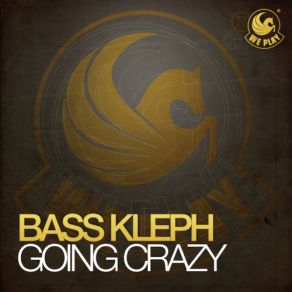 Download track Going Crazy (Instrumental Mix) Bass Kleph