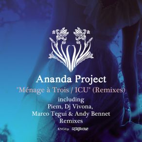 Download track ICU (Marco Tegui & Andy Bennet Remix) The Ananda Project