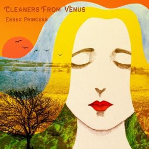 Download track The Madison Girls Cleaners From Venus