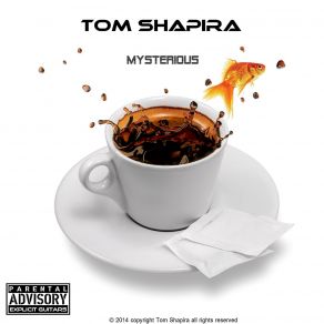 Download track Mysterious Tom Shapira