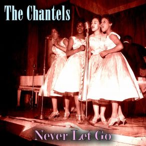 Download track The Plea The Chantels