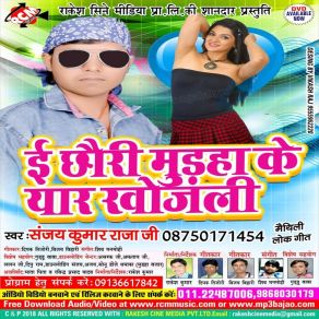 Download track Fel Karai Diyo Re Raja Ji