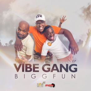 Download track Vibe Gang Iphakathi (Original Mix) BiggFunEd Harris, Master Dee