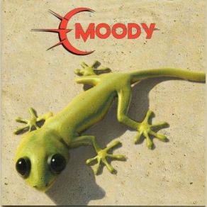 Download track Collegare Il Cervello Prima Dell'uso Moody