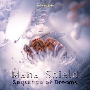 Download track Opening Sequence Mana Shield