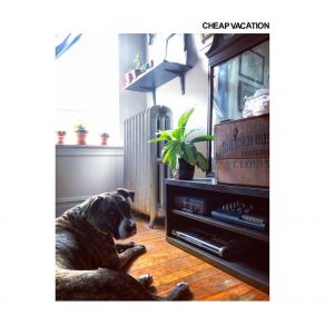 Download track Accidental Introversion Cheap Vacation