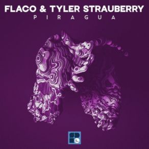 Download track Piragua FLACOTyler Strauberry