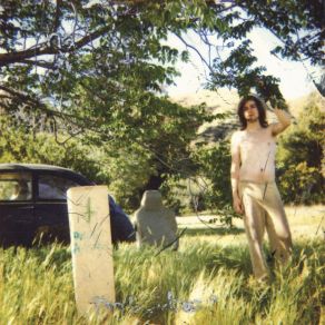 Download track Crying Ariel Pink'S Haunted Graffiti