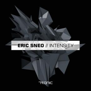 Download track The Flow (Original Mix) Eric Sneo
