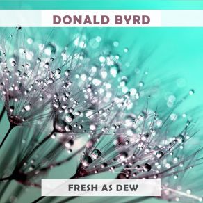 Download track Pure D. Funk Donald Byrd