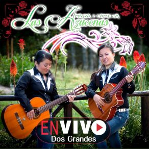 Download track La Lampara (En Vivo) Las Azucenas