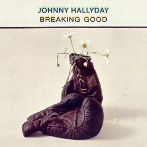 Download track Serre La Main D'Un Fou Johnny Hallyday