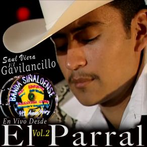 Download track Camino Equivocado El Gavilancillo