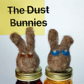 Download track Mr Please Dust Bunnies