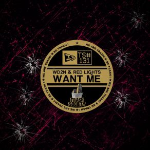 Download track Want Me (Original Mix) The Red Lights, Wd2n