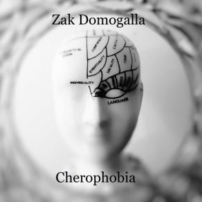 Download track Velveteen Rabbit Zak Domogalla