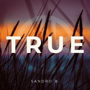 Download track True (Slowed Reverb) Sandro B