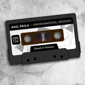 Download track Mesmerizing Raul Paula