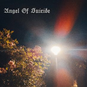 Download track Ill Be The Cause Of My Own Death Angel Of Suicide