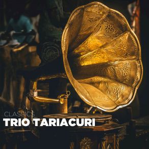 Download track Por Qué Te Has Ido Dueto Tariacuri