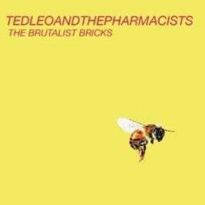 Download track Mourning In America Ted LeoTed Leo / Pharmacists