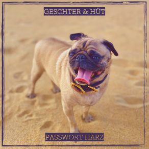 Download track Vergiss Mi Ersch Morn Passwort Härz