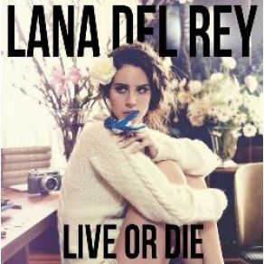 Download track Don'T Want To Go Lana Del Rey