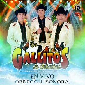 Download track 4 Motivos & Mi Elenita (En Vivo) Los Gallitos De Chihuahua