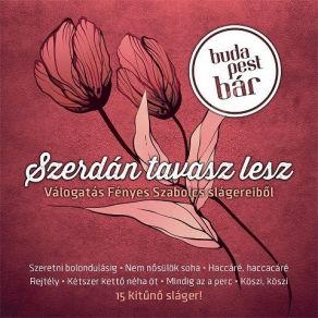 Download track Egy Részeg Éjszaka Budapest Bár