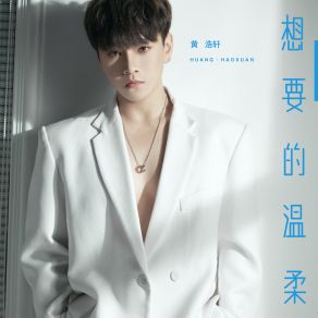 Download track 想要的温柔 (伴奏) 黄浩轩