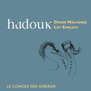 Download track Le Hasard À Bretelles Didier Malherbe