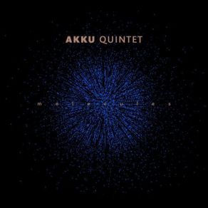 Download track Fluid AKKU Quintet