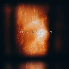 Download track Feel The Reign Tommy Hammarsten