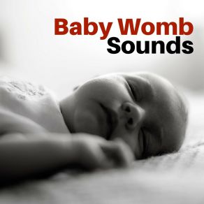 Download track Womb Calm Womb Sound