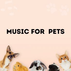 Download track The Best Music For Pets Relaxing For Pets