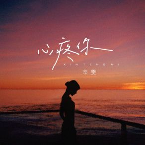 Download track 心疼你 Wen Xin