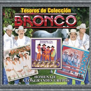 Download track A Qué Le Tiramos Bronco!