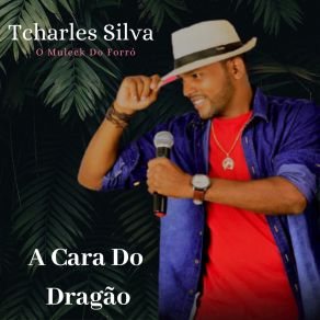 Download track A Cara Do Dragão Tcharles Silva