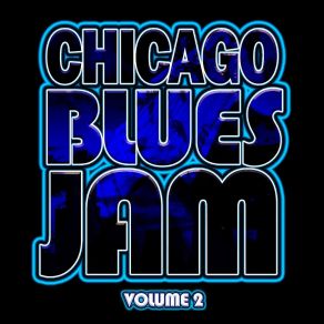 Download track Somewhere In Your Heart Chicago Blues Jam