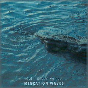 Download track Noise Waves To Focus Migration Waves